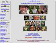 Tablet Screenshot of daylilytrader.com